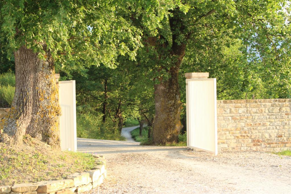 Amico Country House Serra San Quirico Экстерьер фото